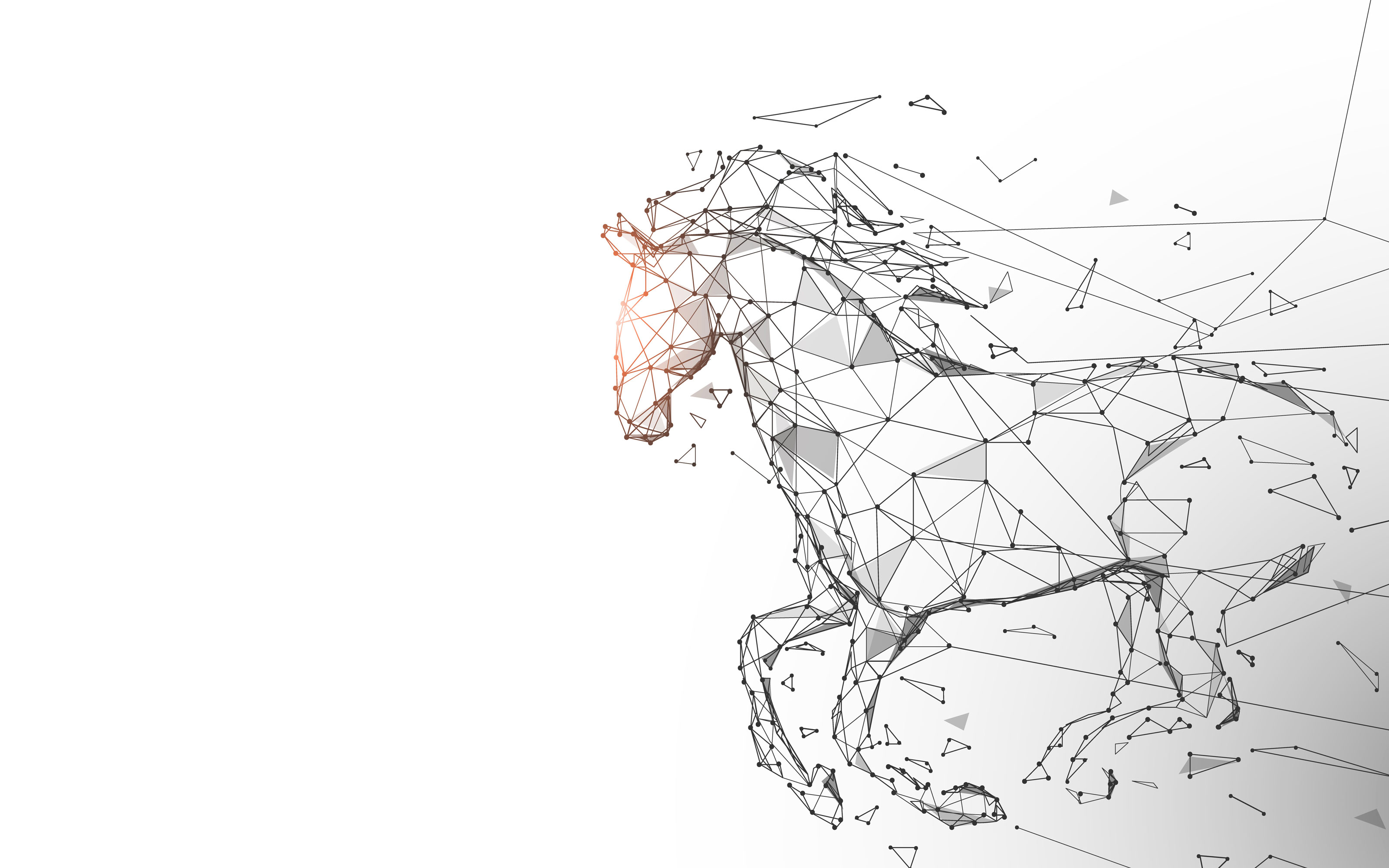 Digital image of a horse